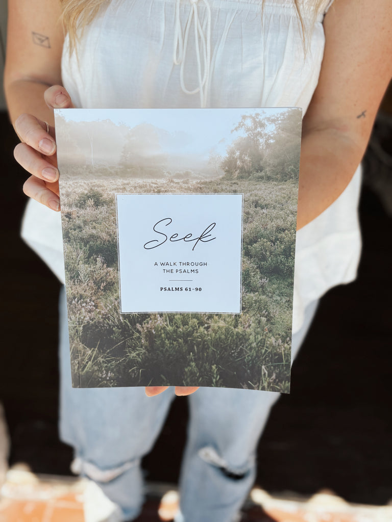 Seek - A Walk Through Psalms 61-90