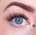 Flutter Habit Lash - Willow