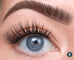 Flutter Habit - The Wink Lash