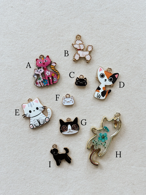 Purr-fect Picks Charms