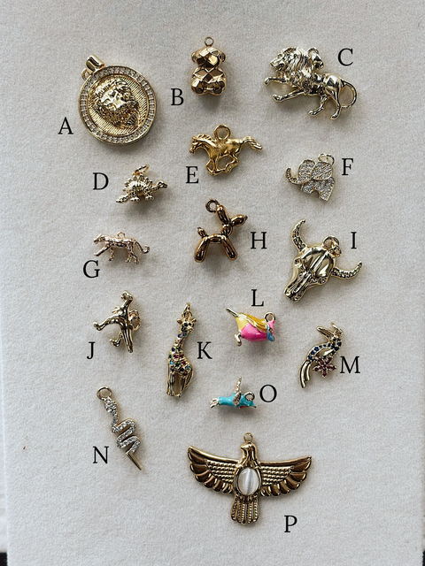 Wild Side Charms