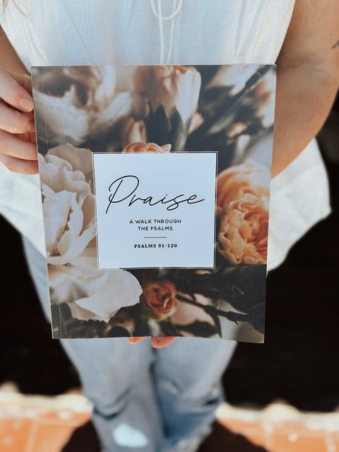 Praise A Walk Through Psalms 91-120