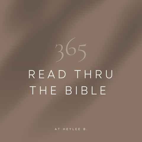 Read Thru The Bible In 365