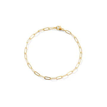 Gold Link Bracelet (gold filled)